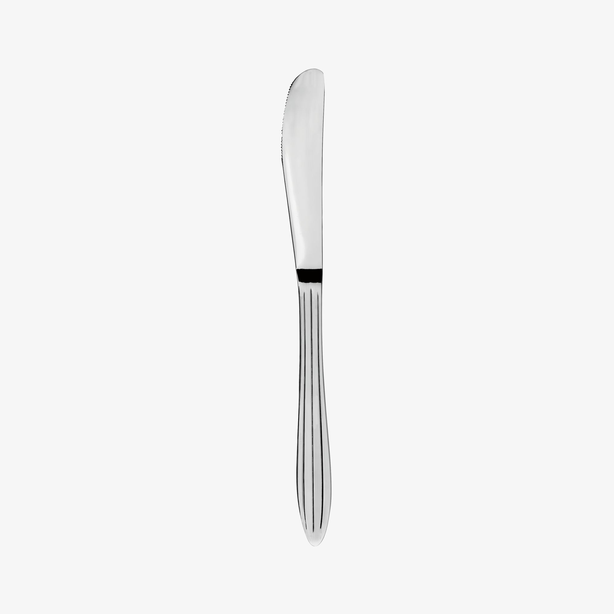 Gastro Line knife | Mirror Polish