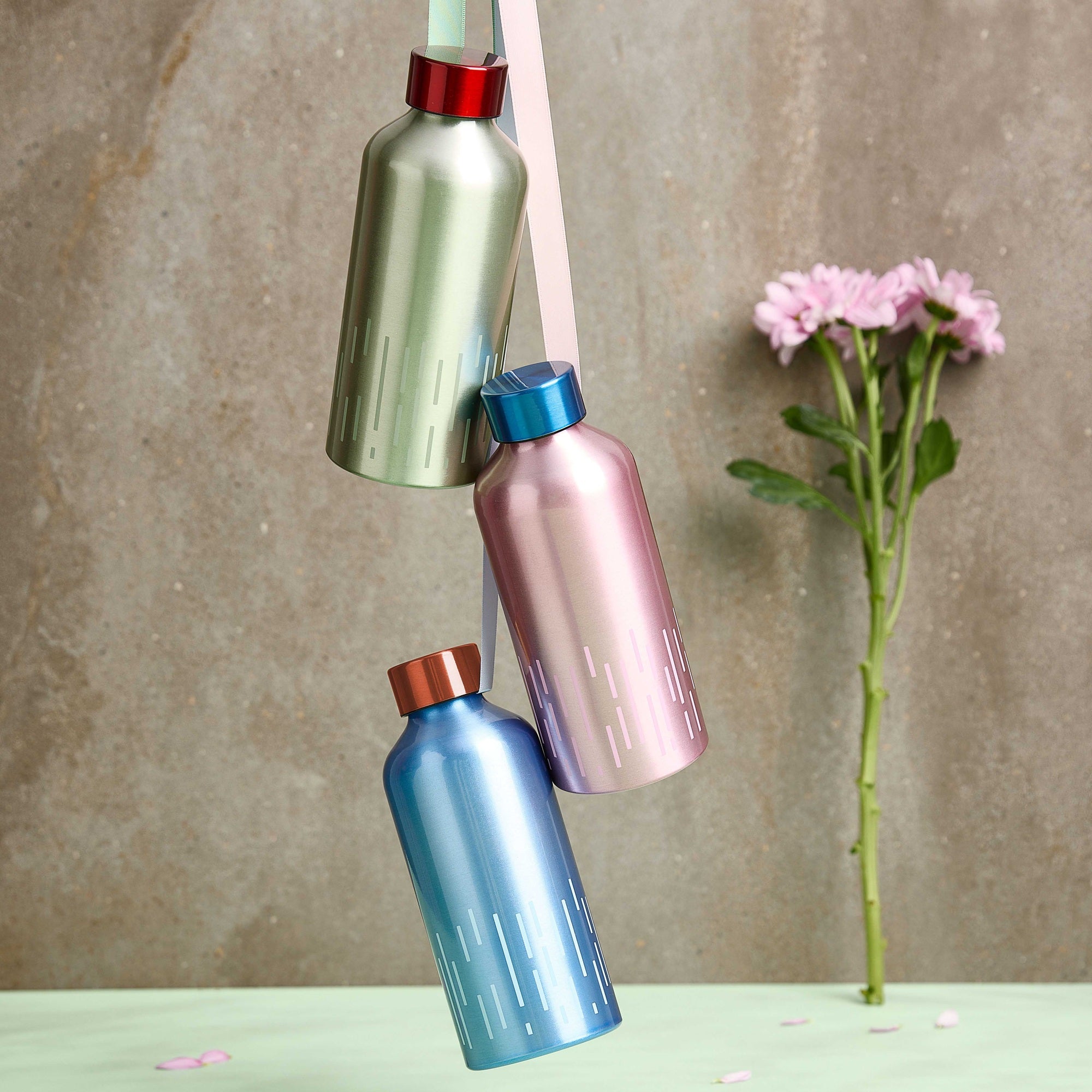 Confetti to go | Aqua
