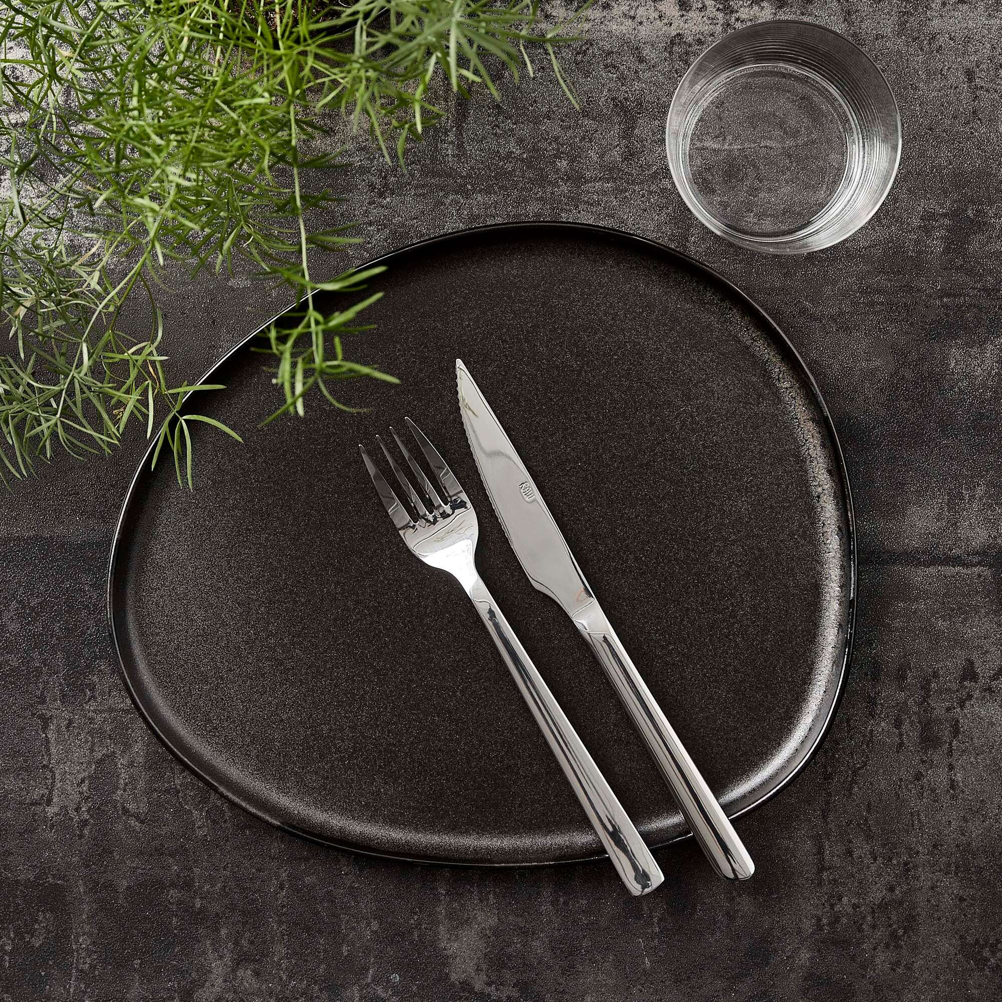 RAW steak knife 4 pcs | Mirror Polish