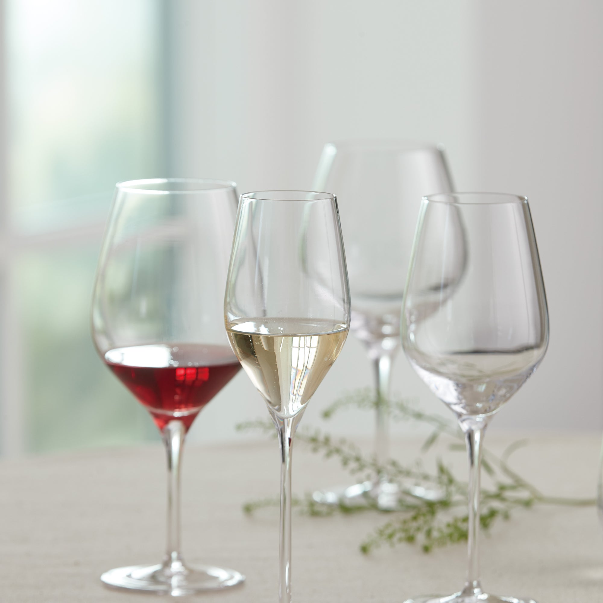 Passion Connoisseur - for powerfull dark red wine 2 pcs | Clear