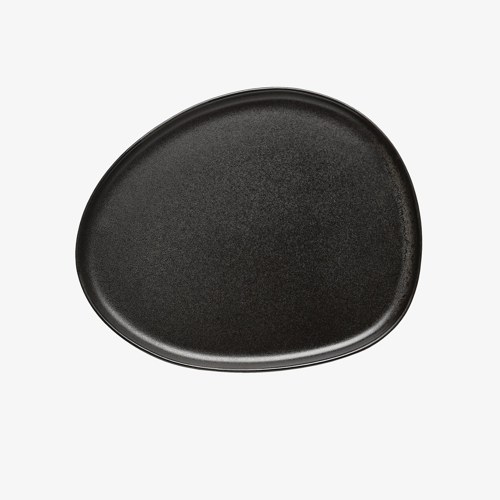 RAW Organic lunch plate | Titanium Black