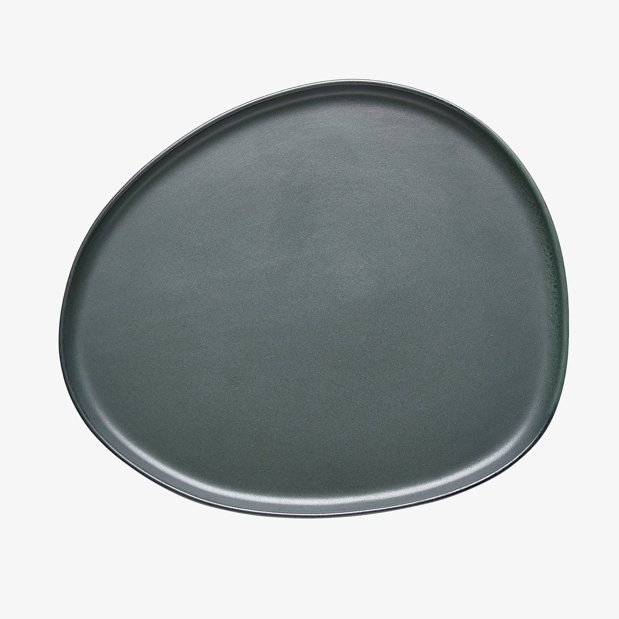 RAW Organic dinner plate | Northern Green