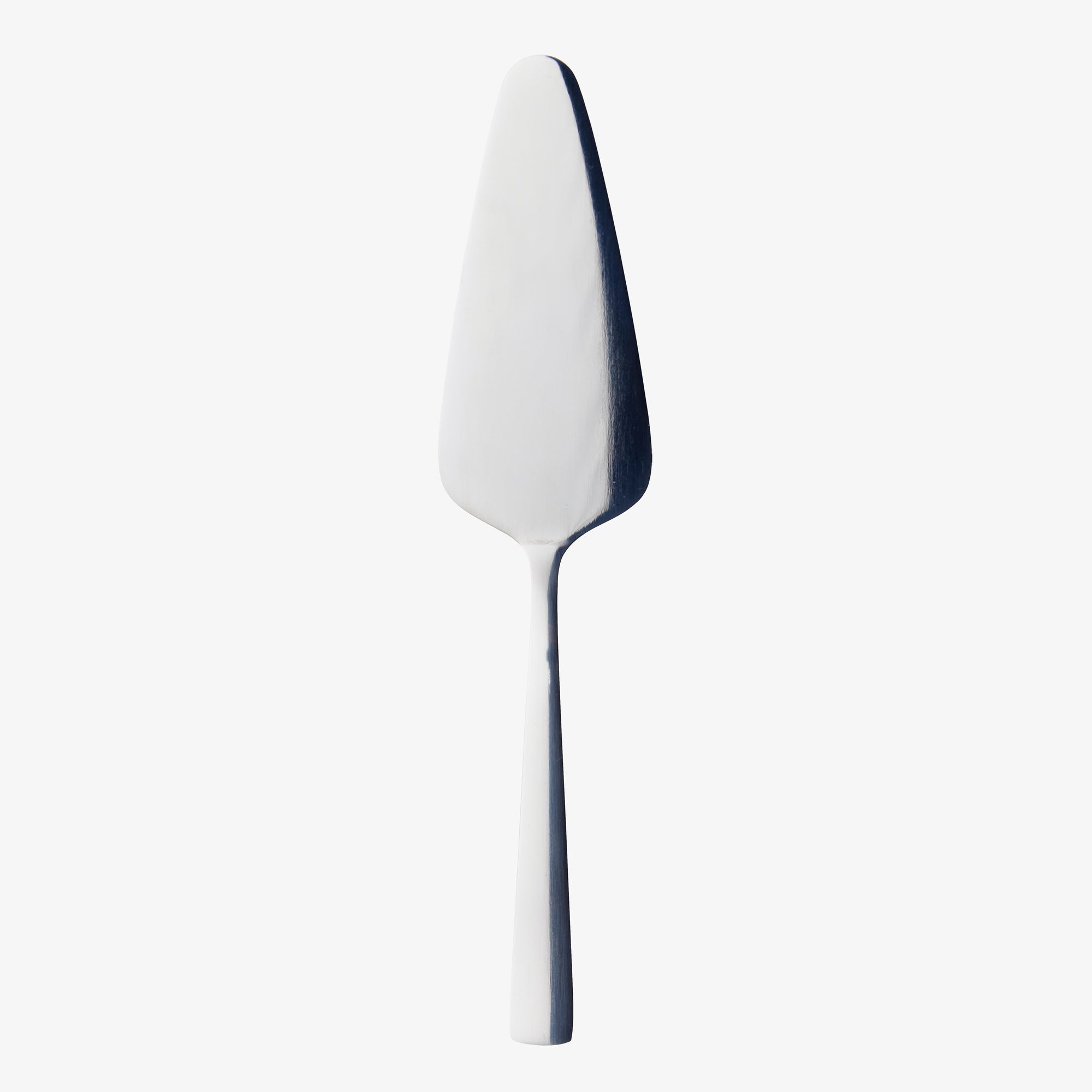 RAW cakeserver | Mirror Polish