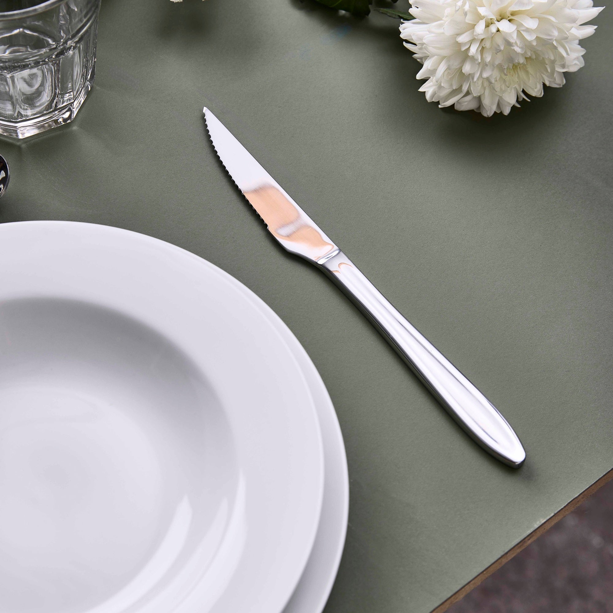 Gastro steakknife | Mirror Polish