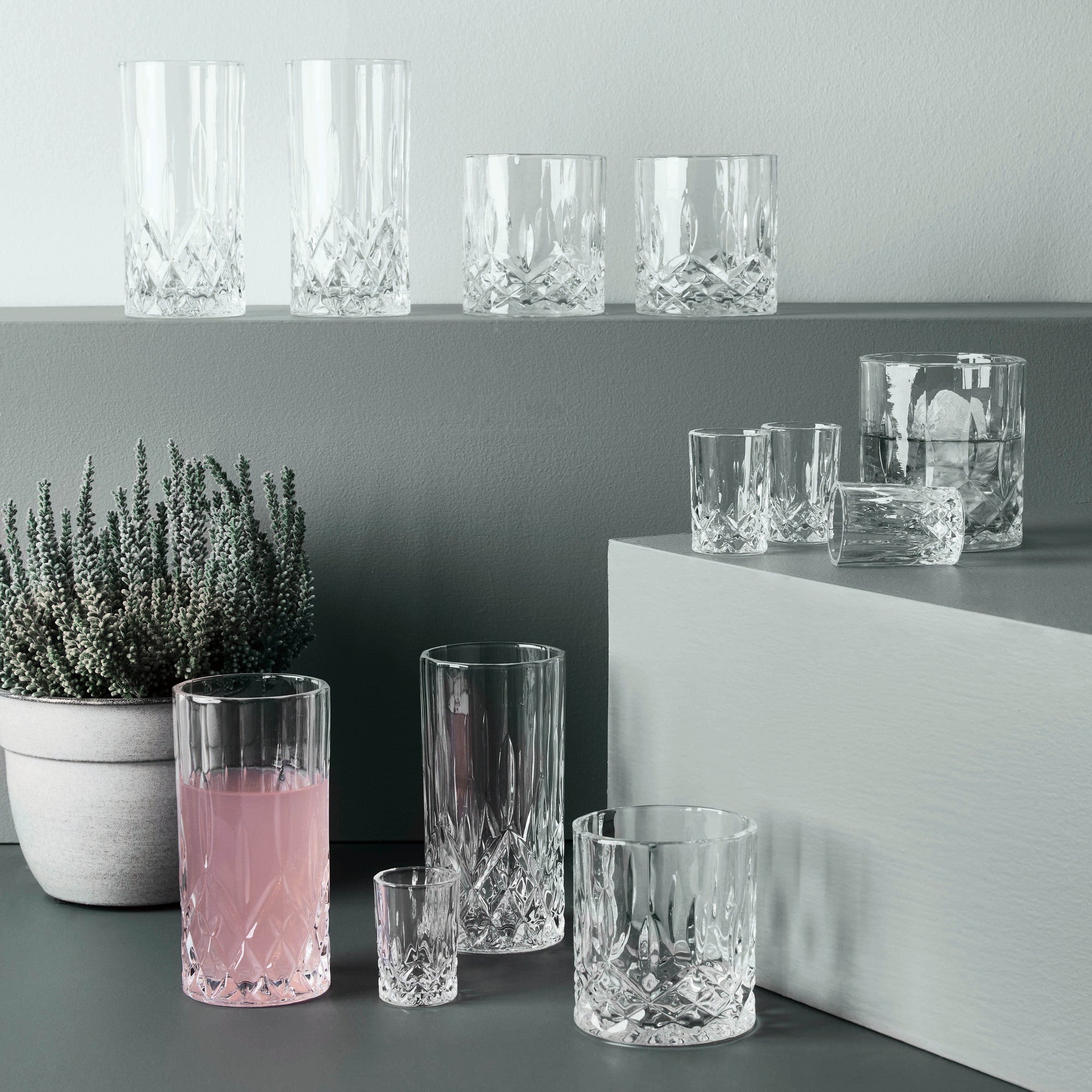 Harvey shot glass 4 pcs. | Clear