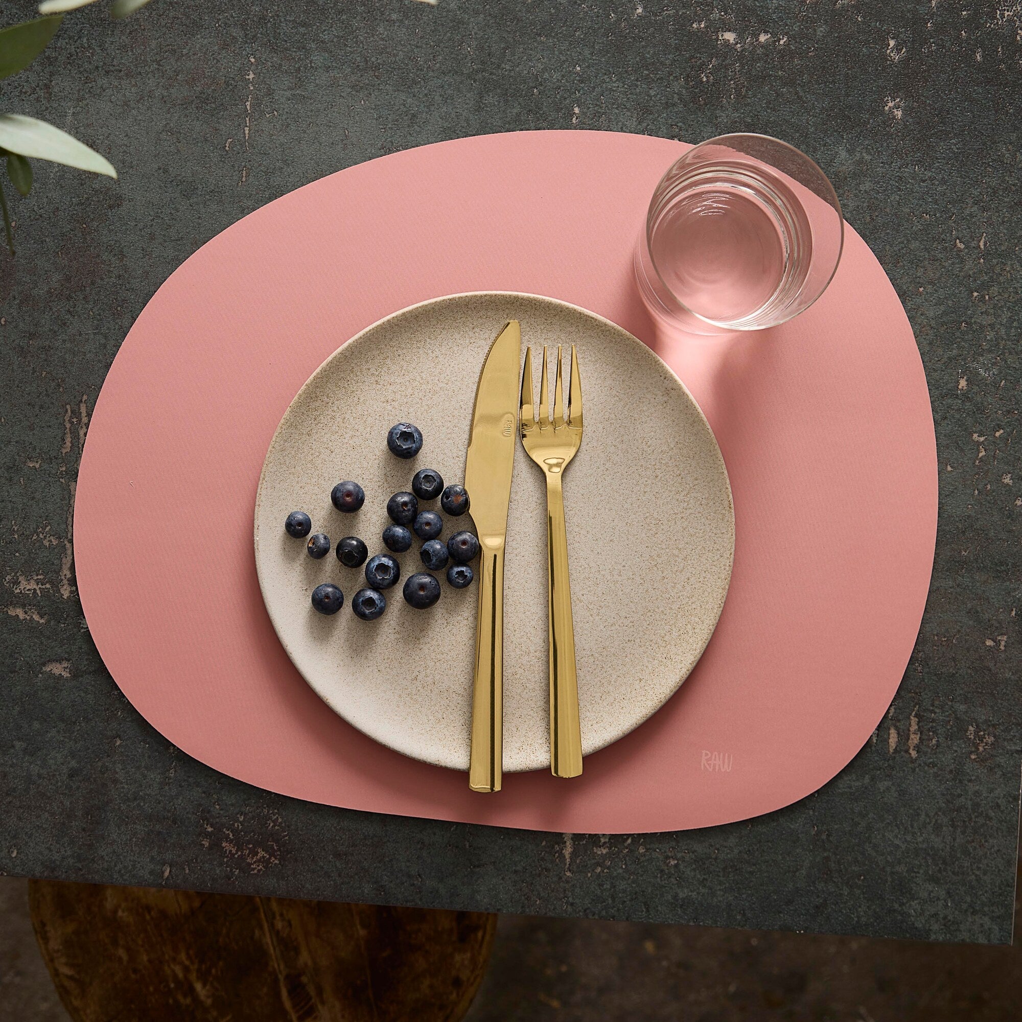 RAW Silicone placemat | Spice Rose