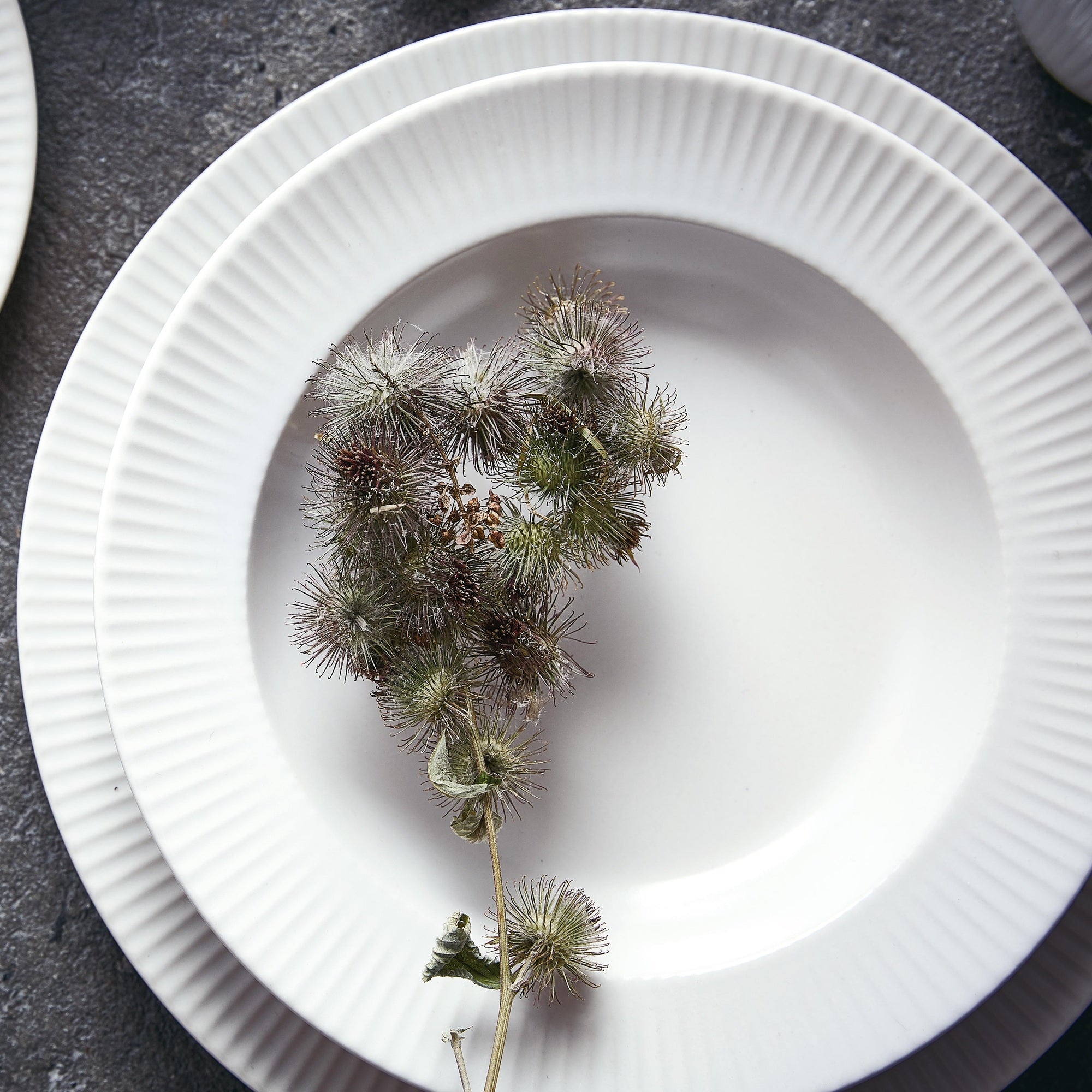 Groovy soup plate | White